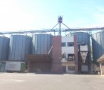 A kunszentmártoni malomüzem 5db 1000 to-ás fémsilója a garattal